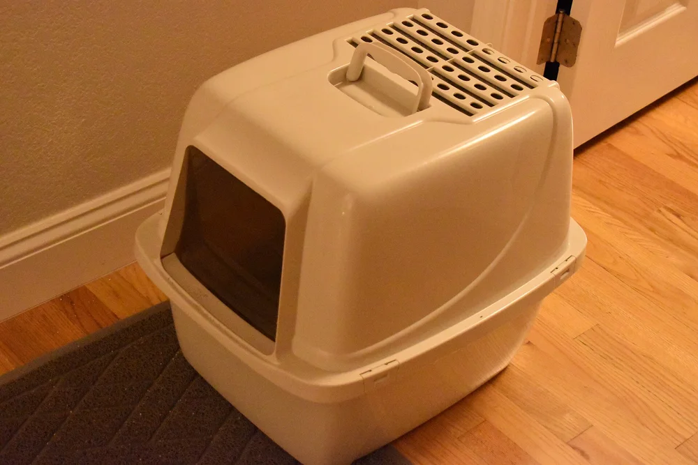 A covered plastic litter box sitting on a mat in a home hallway