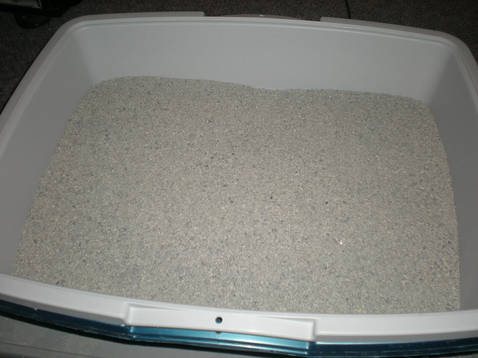 Real photo of a litter box filled with fresh litter