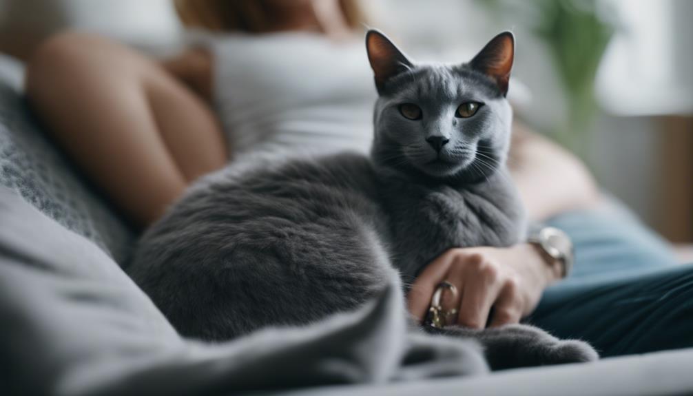 caring for a russian blue