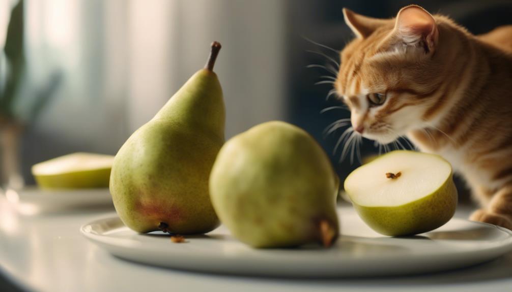 feeding pears to cats