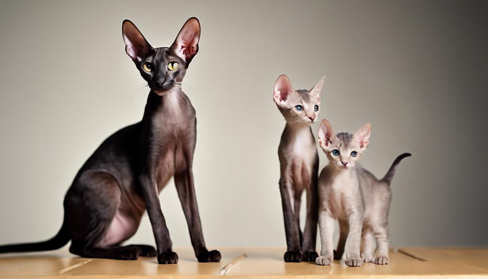 feline growth tracking tool