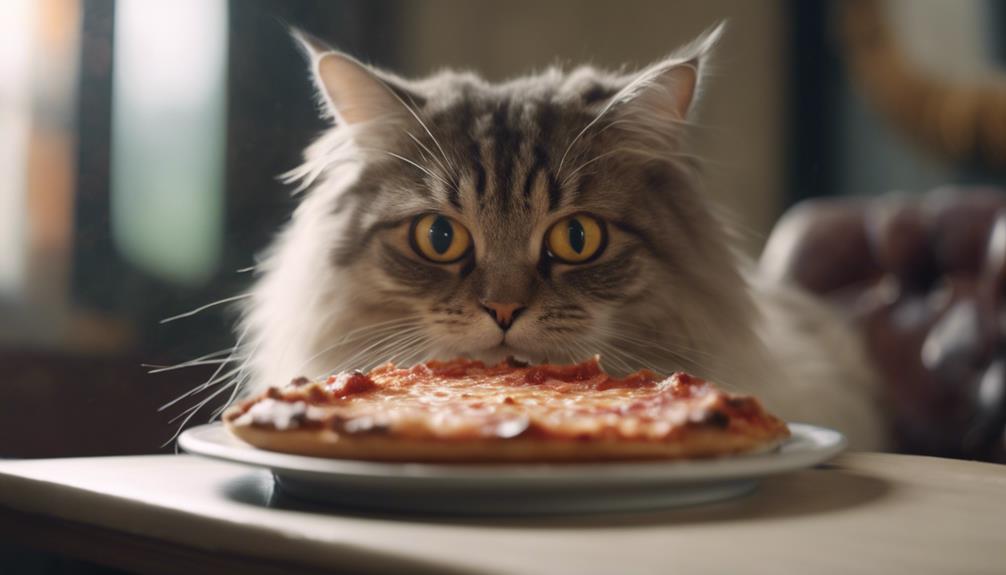 pizza and feline friends