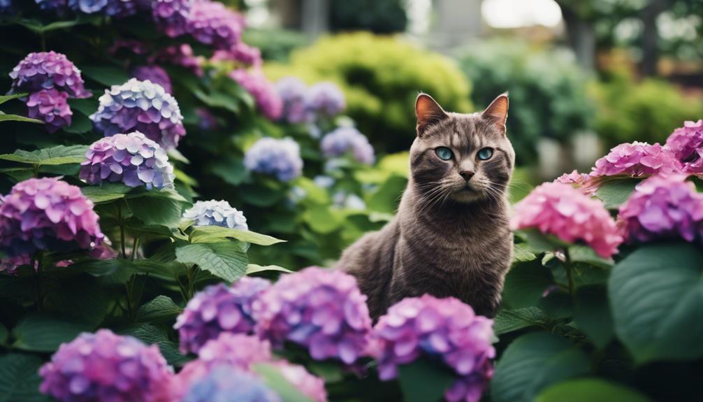 toxic hydrangea species warning